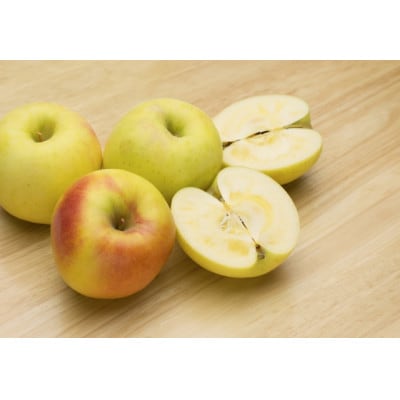 【2026年発送】【家庭用】甘みが強い　長野県産 りんご　ぐんま名月　約2kg(3～6玉程度)