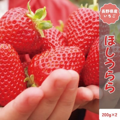 【2026年発送予定】長野県産 いちご ほしうらら 2パック【約400g】