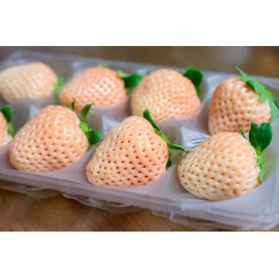 【2026年発送予定】長野県産 希少 白いちご 4パック【800g】