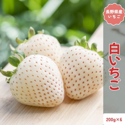 【2026年発送予定】長野県産 希少 白いちご  6パック【1.2kg】