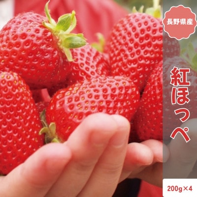 【2026年発送予定】長野県産 いちご 紅ほっぺ 4パック【約800g】