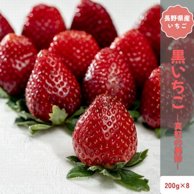 【2026年発送予定】長野県中野市産 希少 黒いちご 真紅の美鈴 8パック【約1.6kg】