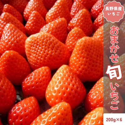 【2026年発送予定】長野県産 いちご おまかせ 6パック【約1.2kg】