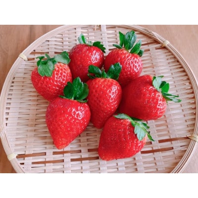 【2026年発送予定】長野県産 いちご おまかせ 6パック【約1.2kg】