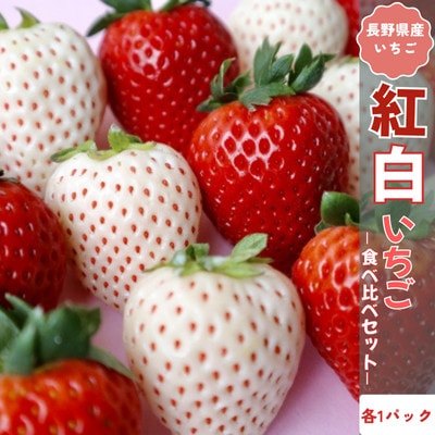 【2026年発送】長野県産　紅白いちごのたべくらべセット　各1パック【400g】