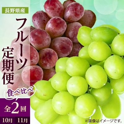 【発送月固定定期便】2025年発送 長野の果物 シャインマスカット+クイーンルージュ全2回