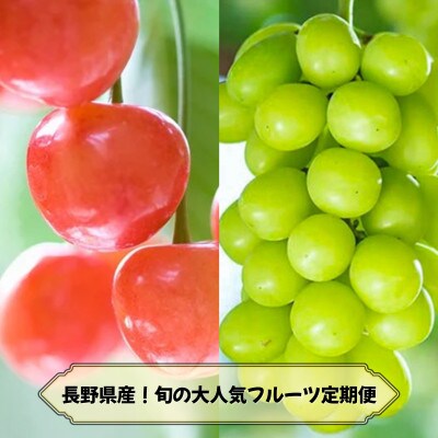 【発送月固定定期便】2026年発送予定 長野の果物 さくらんぼ+シャインマスカット全2回
