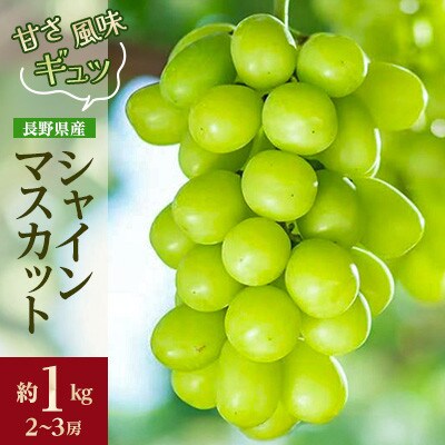 【発送月固定定期便】2026年発送予定 長野の果物 さくらんぼ+シャインマスカット全2回