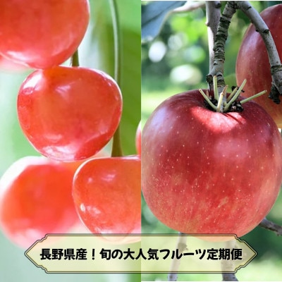 【発送月固定定期便】2026年発送予定 長野の果物 さくらんぼ+サンふじ全2回
