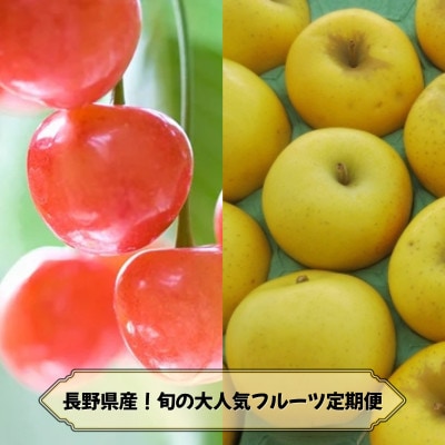 【発送月固定定期便】2026年発送予定 長野の果物 さくらんぼ+シナノゴールド全2回