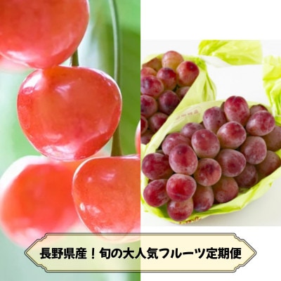 【発送月固定定期便】2026年発送予定 長野の果物 さくらんぼ+クイーンルージュ全2回