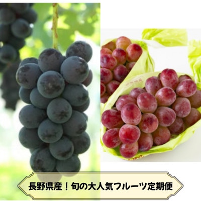 【発送月固定定期便】長野の果物 ナガノパープル+クイーンルージュ全2回