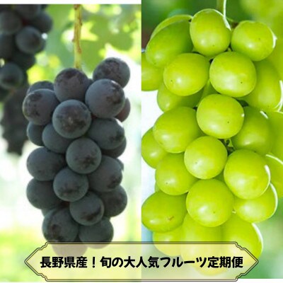 【発送月固定定期便】長野の果物 ナガノパープル+シャインマスカット全2回