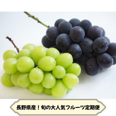 【発送月固定定期便】長野の果物 種なし巨峰+シャインマスカット全2回