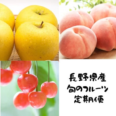 【発送月固定定期便】長野の果物 サクランボ+桃+シナノゴールド全3回