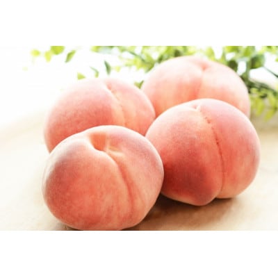 【発送月固定定期便】長野の果物 サクランボ+桃+シナノゴールド全3回