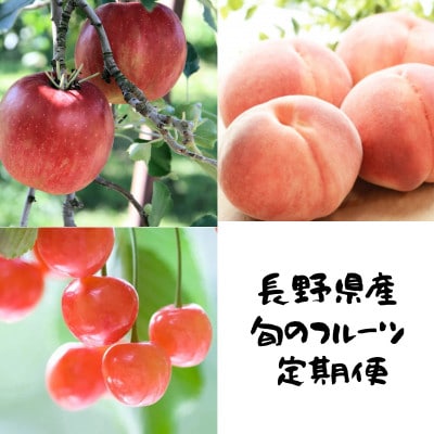 【発送月固定定期便】信州人気のフルーツを掛け合わせた果物セット全3回