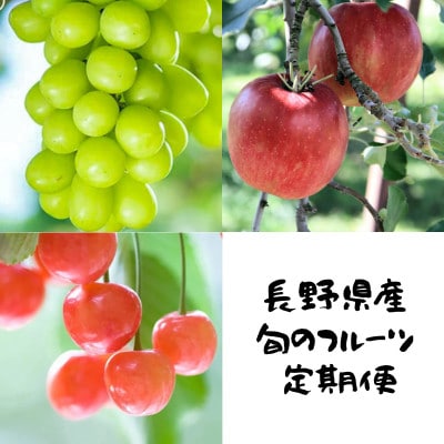 【発送月固定定期便】長野の果物 サクランボ+シャインマスカット+サンふじ全3回