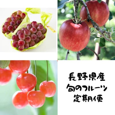 【発送月固定定期便】長野の果物 サクランボ+クイーンルージュ+サンふじ全3回