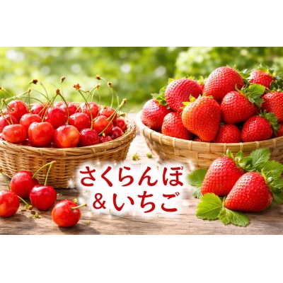 【発送月固定定期便】長野の果物 いちご+さくらんぼ　全2回
