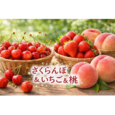 【発送月固定定期便】信州人気のフルーツ(いちご・さくらんぼ・桃)セット全3回