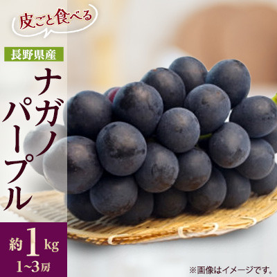 【発送月固定定期便】信州人気のフルーツ(いちご・さくらんぼ・ナガノパープル)セット全3回