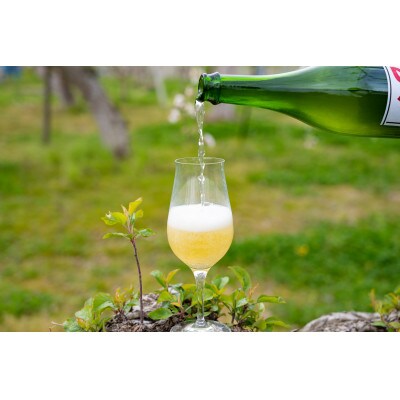 【国際コンクール銀賞受賞!】 信州中野自然派シードル MARUKO CIDER 750ml