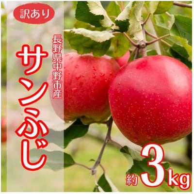 【訳あり】産地直送　信州りんご(サンふじ)3kg (ご家庭用)