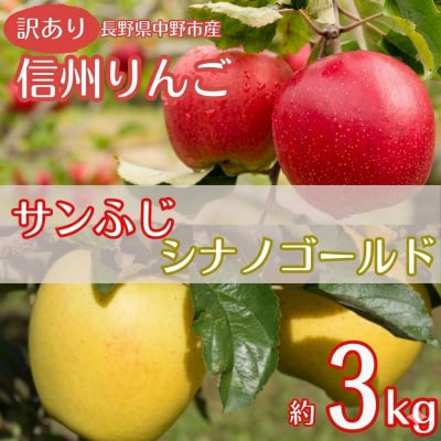 【訳あり】産地直送　信州りんご(サンふじ+シナノゴールド)3kg (ご家庭用)