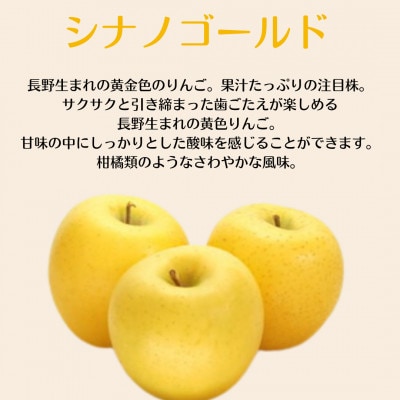 【訳あり】産地直送　信州りんご(サンふじ+シナノゴールド)3kg (ご家庭用)