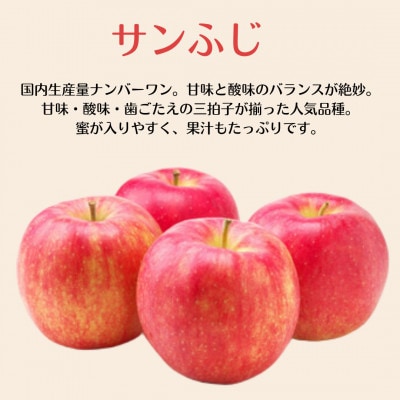 【訳あり】産地直送　信州りんご(サンふじ+シナノゴールド)3kg (ご家庭用)
