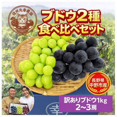 長野県中野市産のぶどう　2種食べ比べセット　計1kg(2～3房)