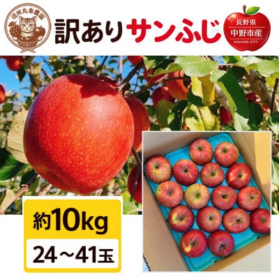 生産農家直送　長野県中野市産　サンふじ　訳ありご家庭用　約10kg(24～41玉)