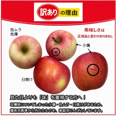 生産農家直送　長野県中野市産　サンふじ　訳ありご家庭用　約10kg(24～41玉)