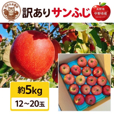 生産農家直送　長野県中野市産　サンふじ　訳ありご家庭用　約5kg(12～20玉)