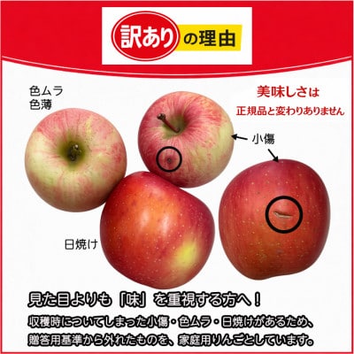 生産農家直送　長野県中野市産　サンふじ　訳ありご家庭用　約5kg(12～20玉)