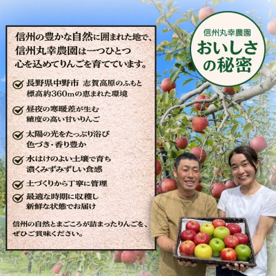 生産農家直送　長野県中野市産　サンふじ　訳ありご家庭用　約5kg(12～20玉)