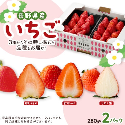 長野県産いちご 計560g