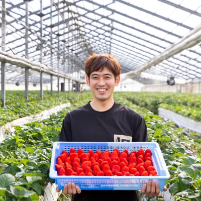 長野県産いちご 計560g