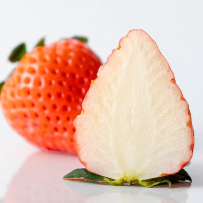 長野県産いちご 計560g