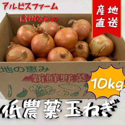 低農薬で作られた甘い玉ねぎ　10kg