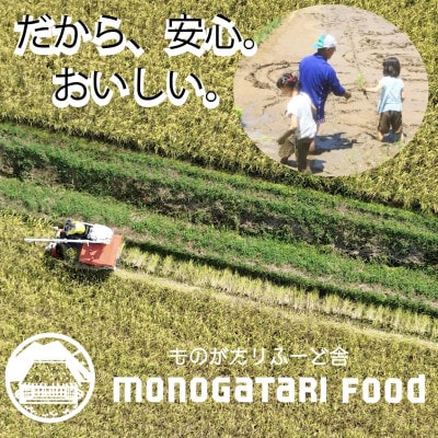 【原材料・玄米のみ】自家製玄米100%使用 ポンせんべい(10枚入り5袋セット)