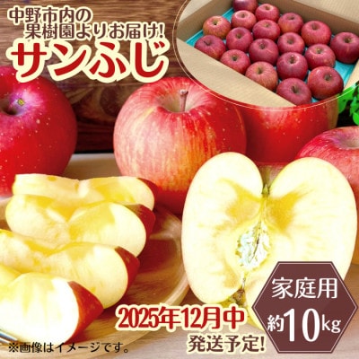 ◆2025年12月中発送◆りんご サンふじ家庭用 約10kg(24～42玉)