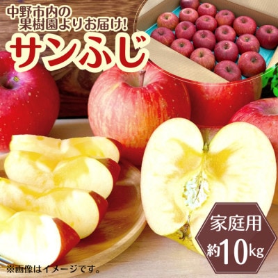 ◆2026年12月中発送◆りんご サンふじ家庭用 約10kg(24～42玉)