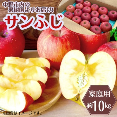◆2027年1月中発送◆りんご サンふじ家庭用 約10kg(24～42玉)