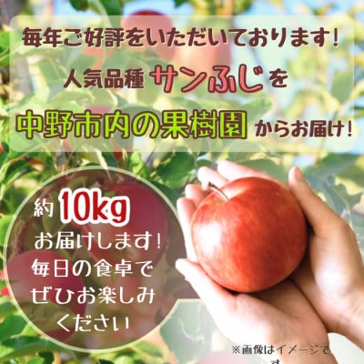 ◆2026年1月中発送◆りんご サンふじ家庭用 約10kg(24～42玉)