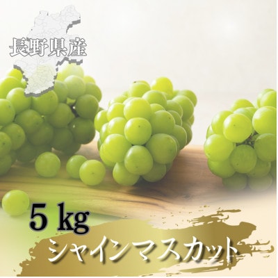 【2026年先行予約開始!】長野県中野市産シャインマスカット 5kg(8～12房)