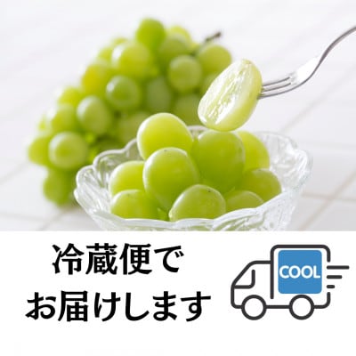 【2026年先行予約開始!】贈答用 厳選シャインマスカット 1房(700g以上)