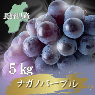 【2026年先行予約開始!】長野県中野市産ナガノパープル  5kg(8～12房)