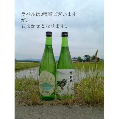 酔田鴨　純米吟醸　720ml×1本